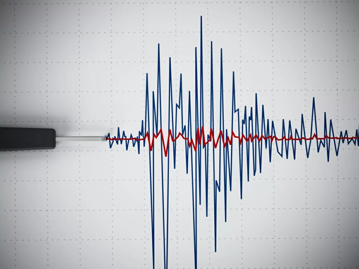 Terremoto sismografo onde sismiche