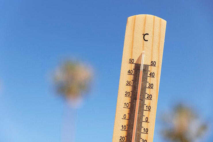 Termometro che misura temperatura elevata
