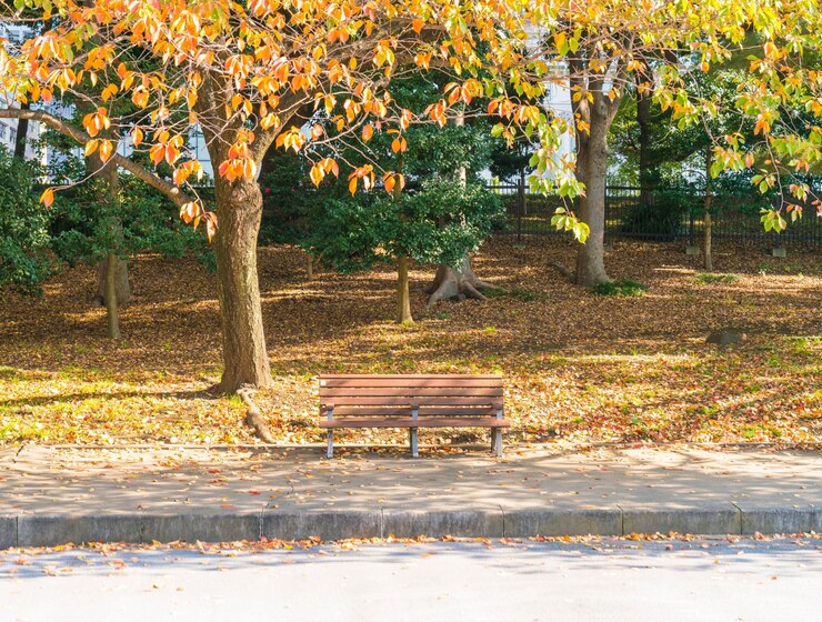 Parco in autunno