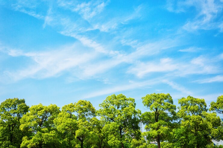September 7: International Clean Air Day for blue skies
